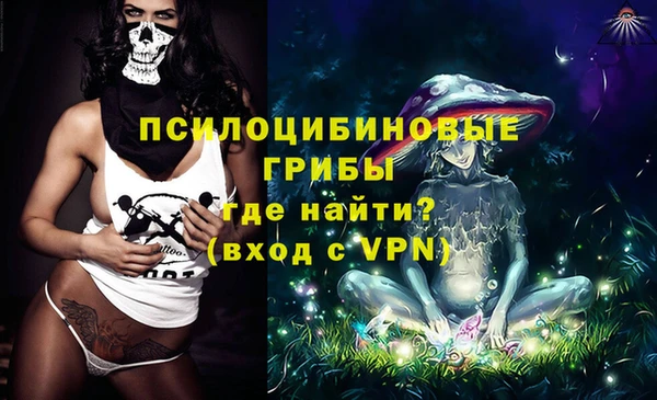 соль ск Надым