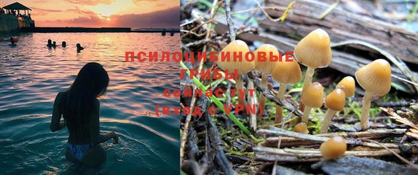 индика Нефтекумск