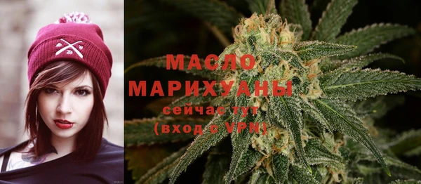индика Нефтекумск