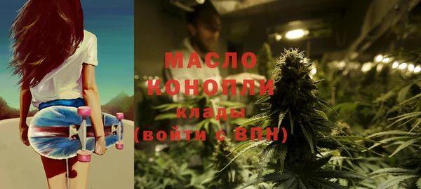 индика Нефтекумск